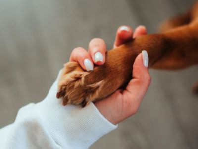 Cadeau personnalisé chien : le porte-clés qu'on garde